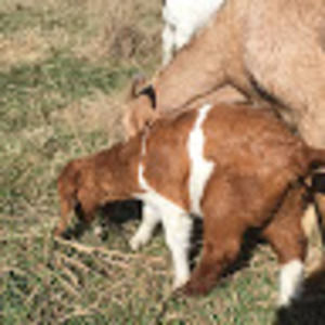 Meet your Posher, Mckinley